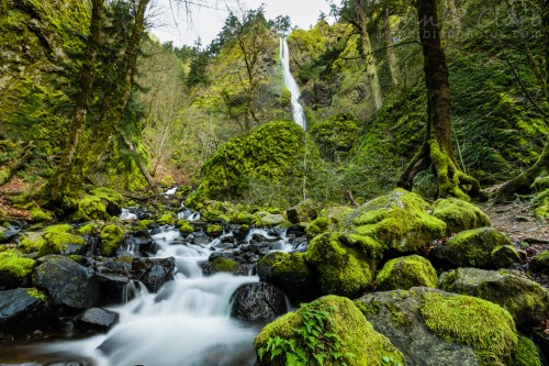 A serene waterfall cascades down a moss-covered cliff, surrounded by lush greenery and a rocky stream in the foreground.