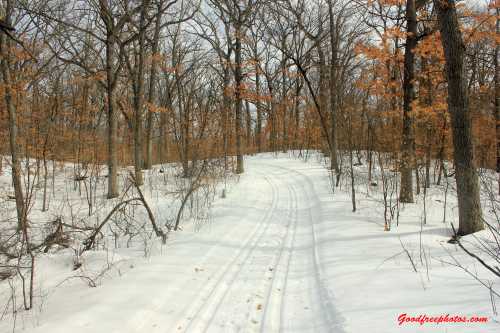 A snowy path winding through a forest with bare trees and a few remaining autumn leaves.