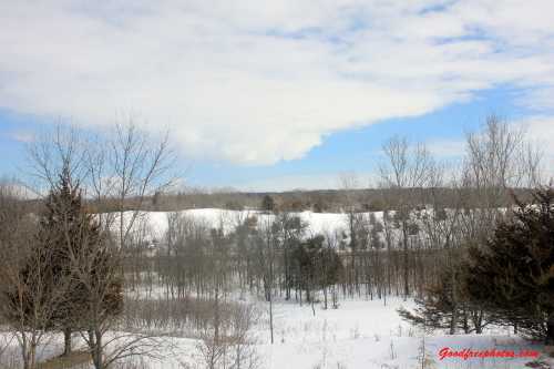 A snowy landscape with bare trees and a cloudy sky, showcasing rolling hills in the background.