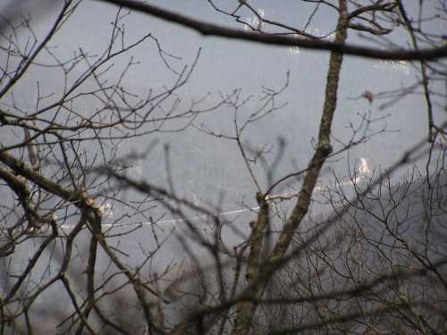 A hazy landscape view through bare tree branches, revealing distant mountains and a faint outline of a structure.