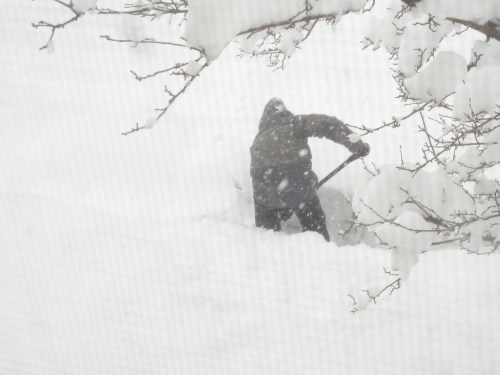 A person shoveling snow in a heavy snowstorm, surrounded by deep snow and falling flakes.