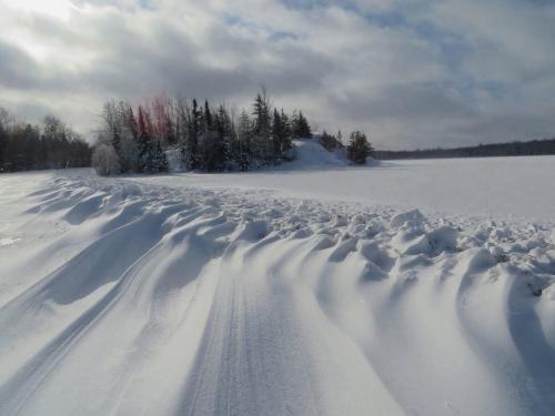 A snowy landscape with undulating snowdrifts, trees in the background, and a cloudy sky above.