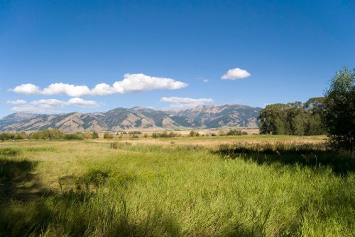 A scenic view of green fields with mountains and a blue sky dotted with clouds in the background.