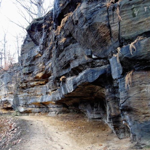 Rocky cliffside with layered stone formations and sparse vegetation, along a dirt path in a wooded area.