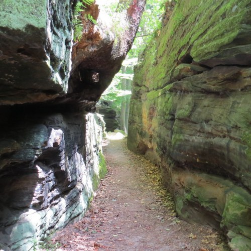 A narrow, rocky canyon with lush greenery and a dirt path winding through the towering stone walls.