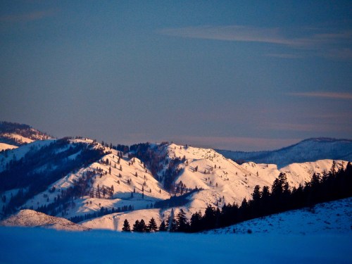 Snow-covered mountains bathed in soft light, with dark trees silhouetted against the snowy landscape.