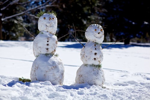 Two snowmen with twig arms and buttons, standing in a snowy landscape with trees in the background.