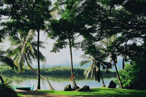 Lush greenery and palm trees frame a tranquil river scene under a cloudy sky. Rocks and a boat are visible in the background.