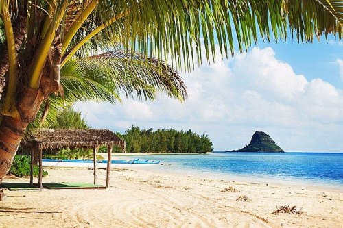 A serene beach scene with palm trees, a thatched hut, and a distant rocky island under a blue sky with fluffy clouds.