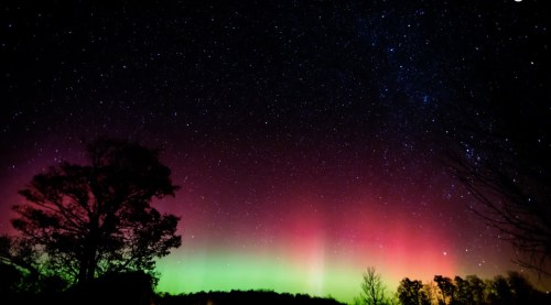 A vibrant aurora borealis lights up the night sky, with stars twinkling above silhouetted trees.