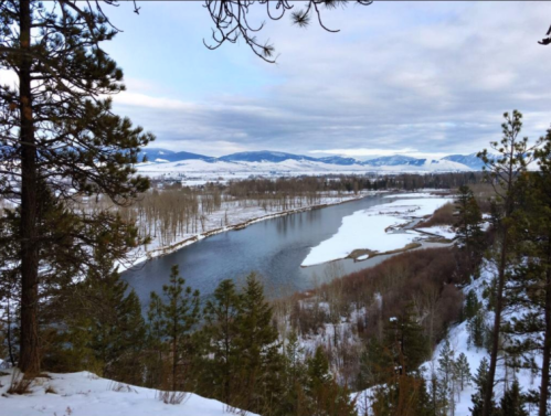 A serene winter landscape featuring a river winding through snow-covered fields and trees under a cloudy sky.