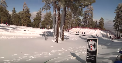 Snow-covered hill with people sledding, surrounded by tall pine trees and a sign for current conditions.