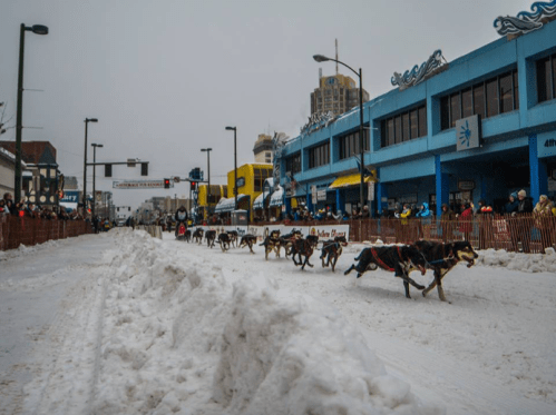 A dog sled team races down a snowy street lined with spectators and colorful buildings.