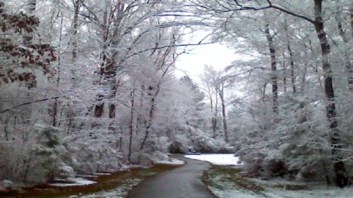 A snowy path winding through a forest, with trees covered in white snow and a serene, wintry atmosphere.