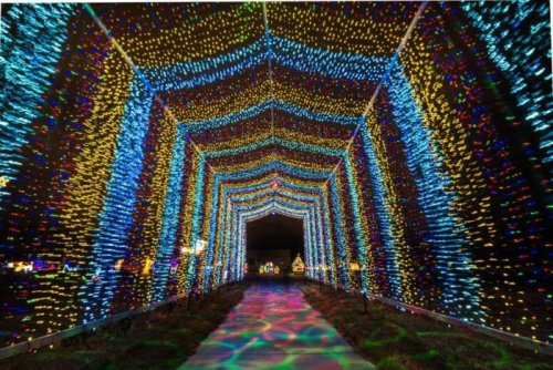A vibrant tunnel of colorful lights, creating a festive and enchanting atmosphere.