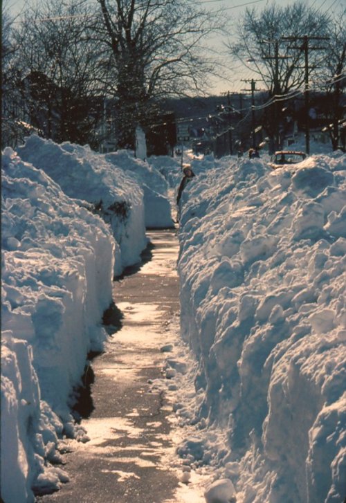 A snow-covered sidewalk flanked by tall snowbanks, with a clear blue sky above and trees in the background.