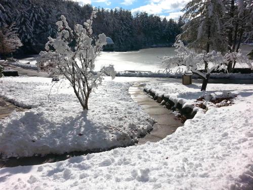 A snowy landscape with trees and a frozen lake, under a bright blue sky with scattered clouds.