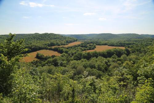 A panoramic view of lush green hills and fields under a clear blue sky, showcasing a serene natural landscape.