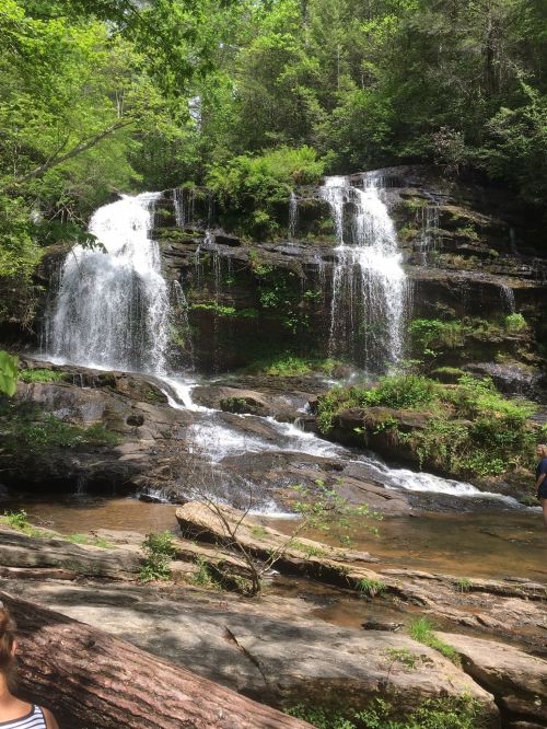 A serene waterfall cascading over rocks, surrounded by lush greenery and a tranquil stream below.