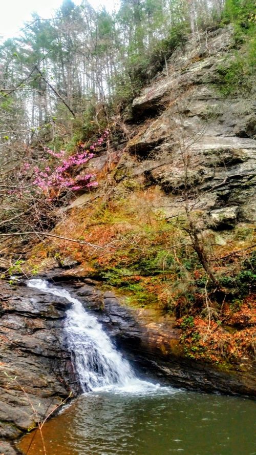 A serene waterfall cascades over rocks into a calm pool, surrounded by lush greenery and blooming pink flowers.