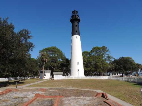 A tall black and white lighthouse surrounded by trees and a clear blue sky, with a grassy area in the foreground.