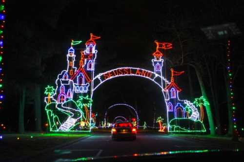 Colorful holiday lights form a whimsical castle entrance reading "Seuss Land" along a dark road.