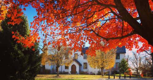 A charming white house surrounded by vibrant autumn trees with bright orange leaves under a clear blue sky.