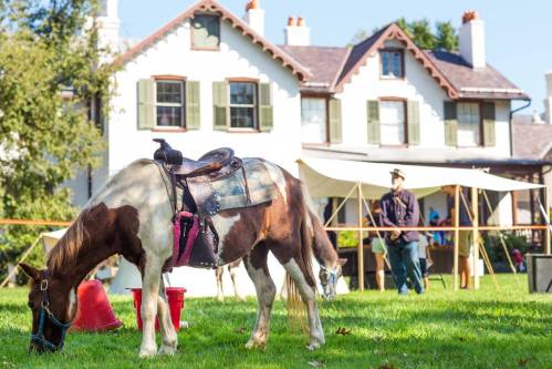 A horse grazes in a grassy area near a large white house and a tent, with a person in the background.