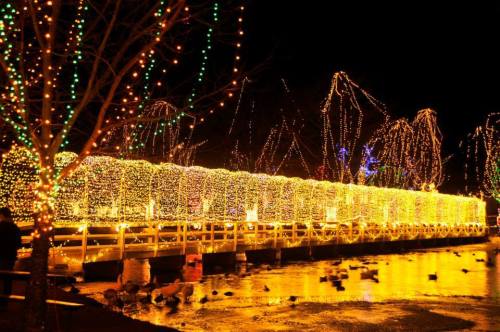 A brightly lit bridge adorned with colorful lights, reflecting on a dark water surface, surrounded by trees.