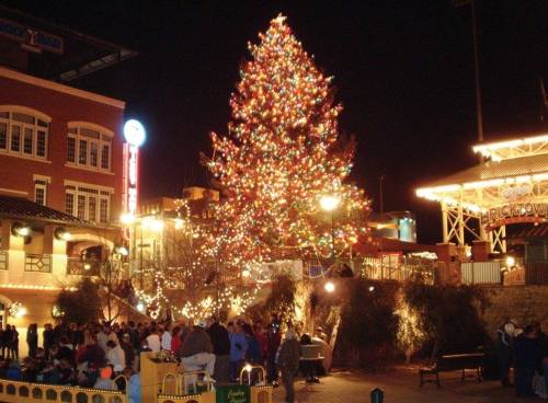 A brightly lit Christmas tree stands in a festive plaza at night, surrounded by people and holiday decorations.