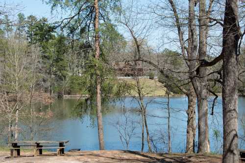 A serene lake surrounded by trees, with a picnic table in the foreground and a house visible on the opposite shore.