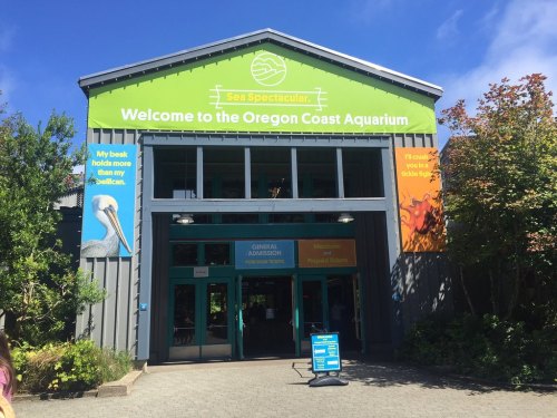 Entrance to the Oregon Coast Aquarium, featuring colorful signage and a clear blue sky.