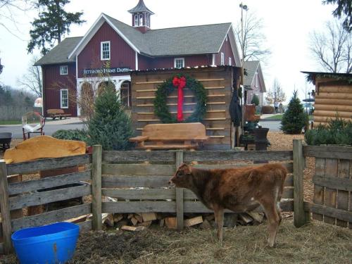 A brown cow stands near a wooden fence in front of a red barn decorated for the holidays with a wreath.