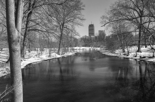 A serene winter scene with a river reflecting trees and a city skyline in the background, captured in black and white.