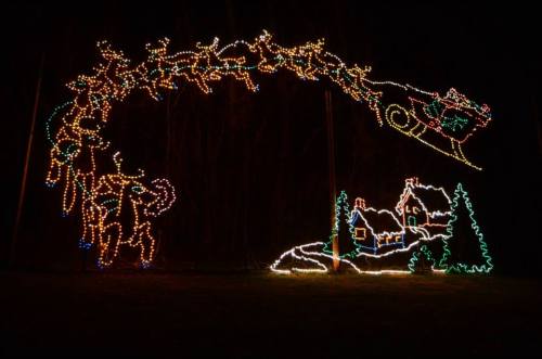 Colorful holiday lights depict Santa and reindeer flying over a house with trees, set against a dark night sky.