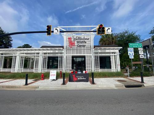 Exterior of the Wildlife Center with a sign reading "Open," surrounded by trees and traffic signals.