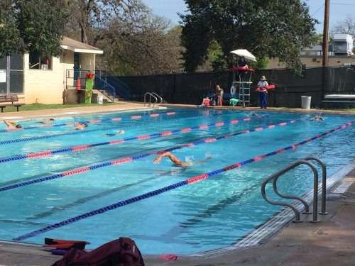 A swimming pool with lanes, swimmers in action, and lifeguards on duty in a sunny outdoor setting.