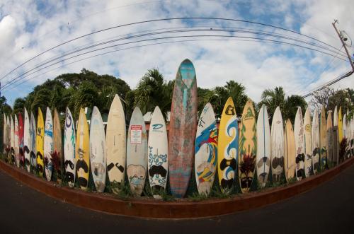 A colorful fence made of surfboards, featuring various designs, against a backdrop of palm trees and a cloudy sky.