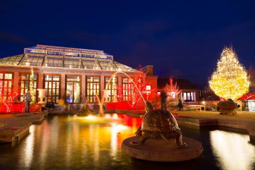 A beautifully lit greenhouse at night, with a fountain and a turtle statue in a pond, surrounded by festive decorations.