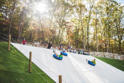 People tubing down a snowy slope surrounded by trees, with sunlight filtering through the leaves.