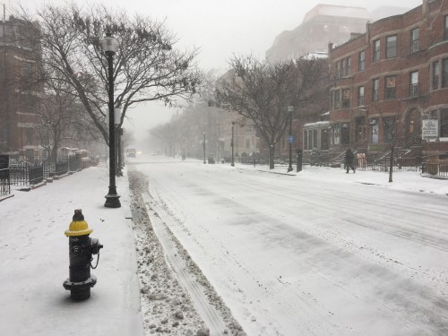 A snowy street scene with a fire hydrant, lined by trees and buildings, under overcast skies.