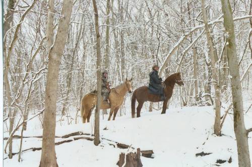 Two riders on horseback in a snowy forest, surrounded by bare trees and a serene winter landscape.