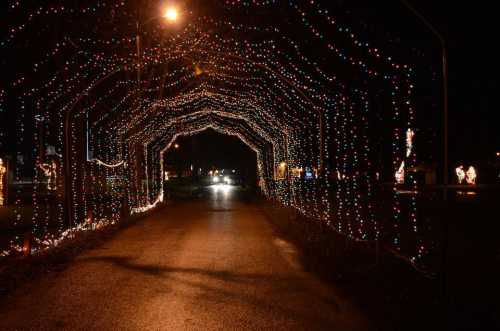 A pathway illuminated by colorful holiday lights, creating a festive tunnel effect at night.