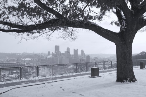 A snowy landscape with a large tree in the foreground and a city skyline in the background, captured in black and white.