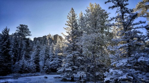 Snow-covered trees in a serene forest with rocky formations in the background under a clear blue sky.