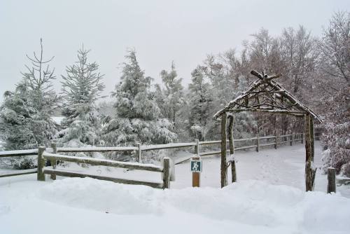 A snowy landscape with a wooden archway and a fence, surrounded by snow-covered trees in a winter scene.
