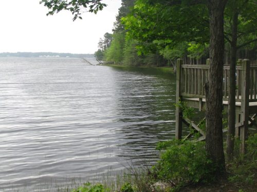 A serene lakeside view with calm water, lush greenery, and a wooden dock extending into the lake.