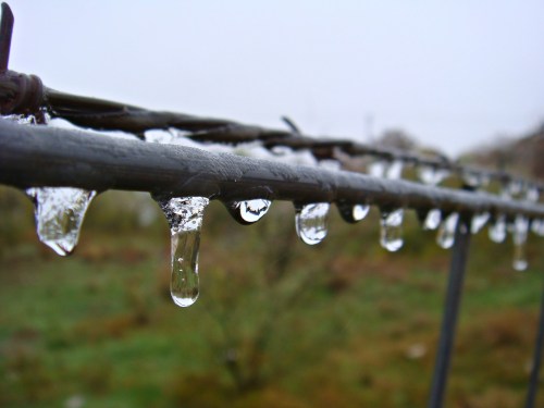 Close-up of water droplets hanging from a metal wire, with a blurred green background.
