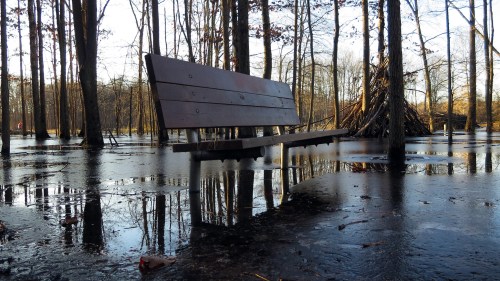 A wooden bench surrounded by water, reflecting trees and a pile of sticks in a serene, flooded landscape.