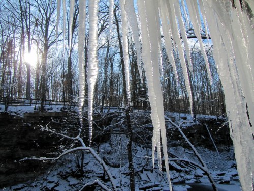 Icicles hang from branches, with a snowy landscape and sunlight filtering through trees in the background.